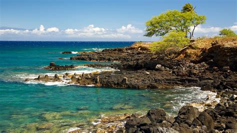 Kohala Coast Waikoloa Vacation Packages Book Cheap Vacations And Trips