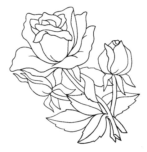 Dibujos De Rosas Para Colorear Dibujos Para Pintar Y Colorear 2023