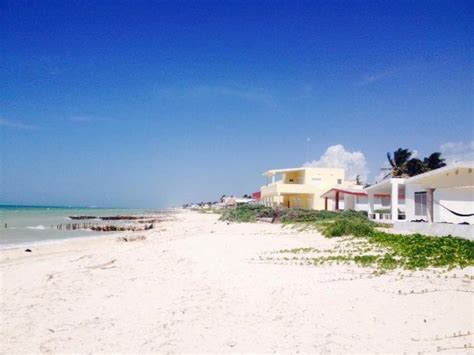 19 Chelem Puerto The Yucatan Times