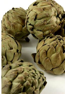 Natural driftwood pieces vase filler decor brings the coastal outdoors inside. Natural Preserved Green Artichokes (10 chokes)