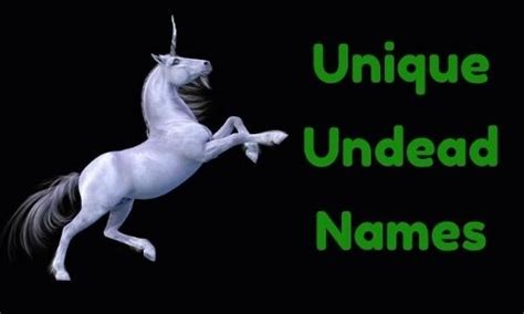 1000 Unicorn Names Funny Unique Famous Badass