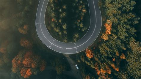 Wallpaper Road Forest Aerial View Winding Turn Hd