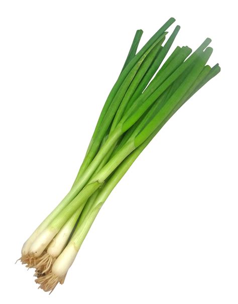 Spring Onions Bunch The Veggie Patch Cf Frog Organic Boxes