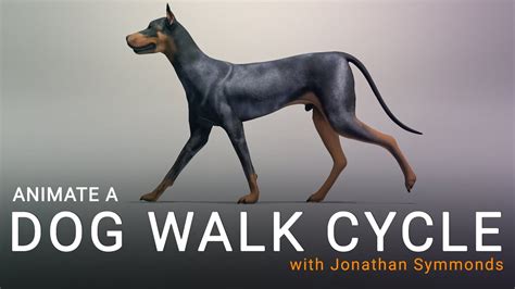 Dog Walk Cycle