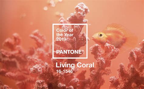 El 16 1546 Living Coral El Color Del AÑo 2019 De Pantone 30e