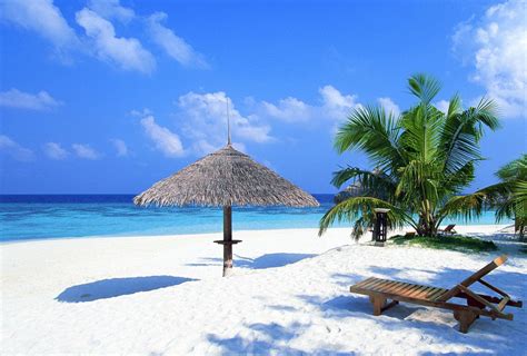 Tourism Tropical Beaches