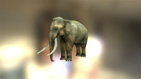 Asian Elephant Buy Royalty Free 3d Model By Skazok 39cb531
