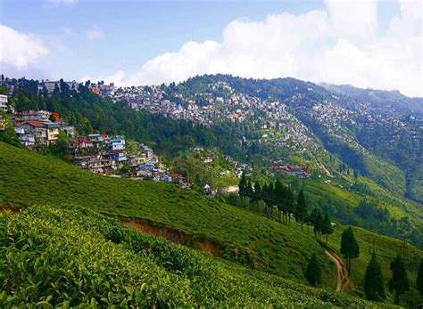 Darjeeling Gangtok Honeymoon