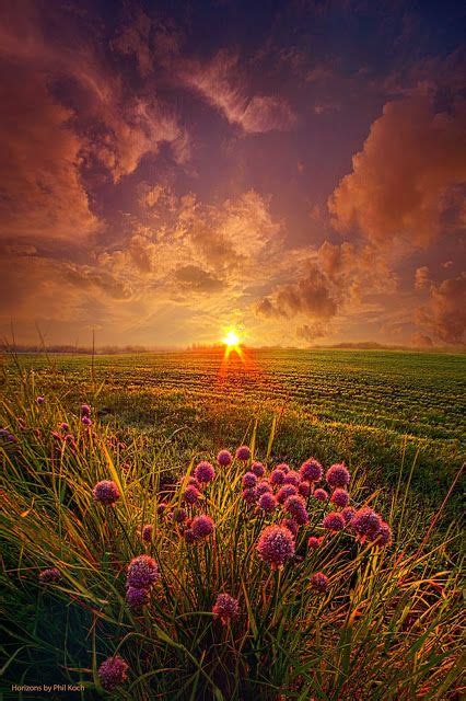 Summer Field At Sunset ~ Marvelous Nature Beautiful Nature Beautiful