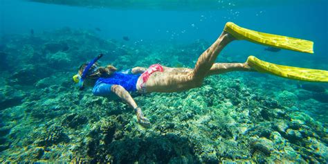 Snorkeling In Hawaii Best Underwater Spots To Look For Nemo