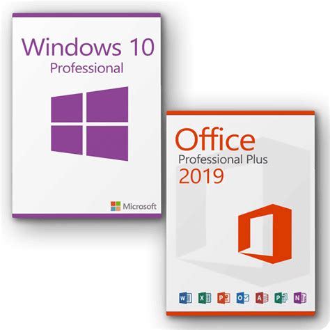 Microsoft Office 2019 Professional Plus Windows 10 Professional