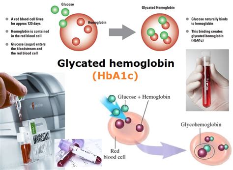Figure 1 Glycated Hemoglobin Hba1c Explained