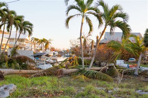 The average flood insurance policy can cost approximately $700 per year, although the cost depends on where you live. Cost of Flood Insurance in Florida and How Coverage Works - ValuePenguin