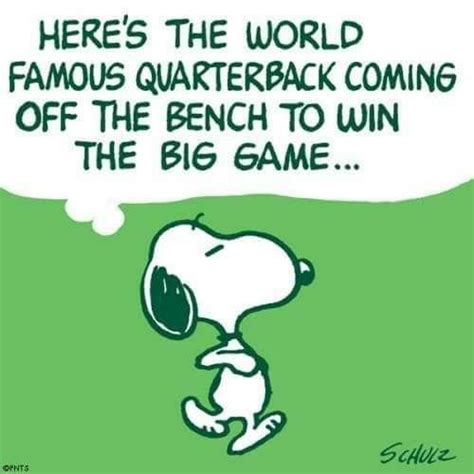 Pin By Vickie Erickson On Peanuts Snoopy Funny Super Bowl Sunday Quotes Funny