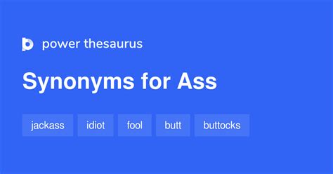 593 Noun Synonyms For Ass