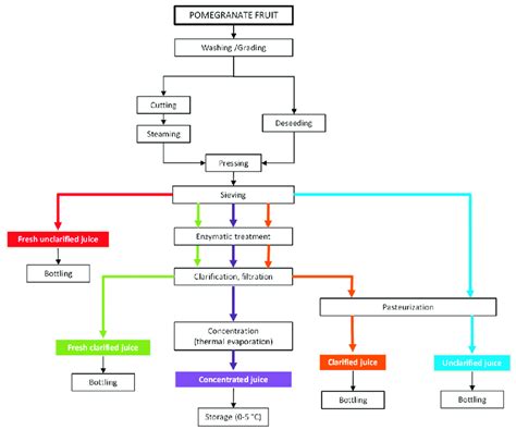Juice Process Flow Chart