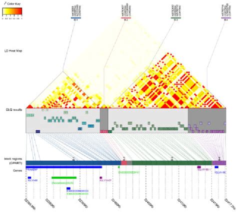 Pdf Gpart Human Genome Partitioning And Visualization Of High