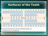 Pictures of How To Do Dental Charting