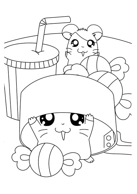 Coloring Page Hamtaro Coloring Pages 183