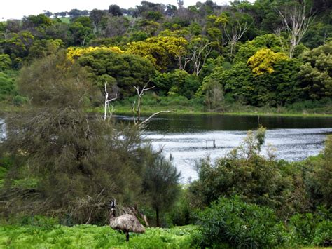 Tower Hill Australia Wildlife Day Walks Hike Paddle Travel