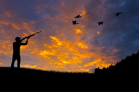 Hd Wallpaper Silhouette Of Man In Pistol Forest Nature Duck