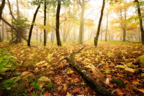 Autumn Landscape Photography Perspective