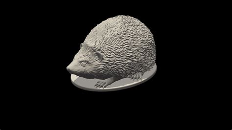 Hedgehog Buy Royalty Free 3d Model By Explorertit36 Paydi