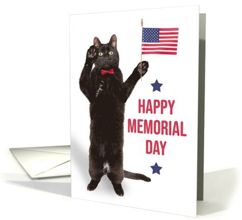 Happy Memorial Day Cat With Flag Saluting Card 1684344