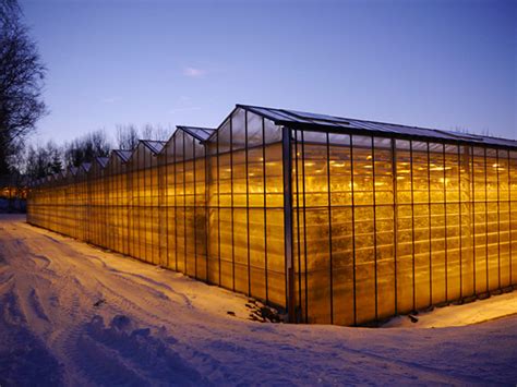 Icelands Green Houses
