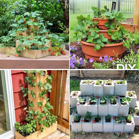 25 Diy Strawberry Planter Ideas Bed Container And Vertical