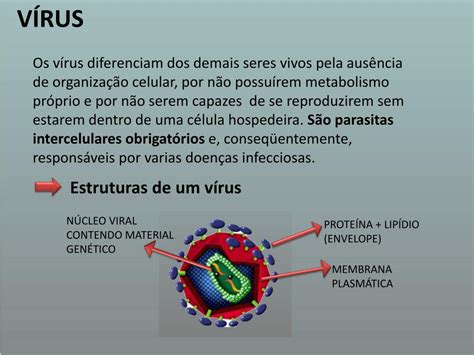 Os Vírus São Minúsculos Piratas Biológicos Porque Invadem As Células