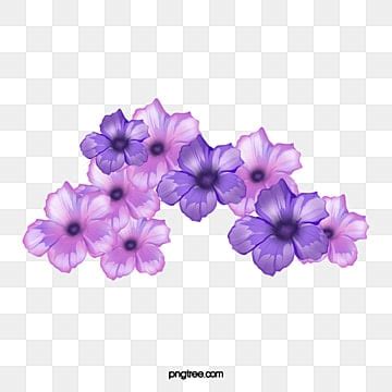 Flores Moradas PNG Imágenes Transparentes Pngtree