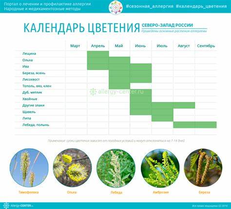 Диета с учетом перекрестной аллергии