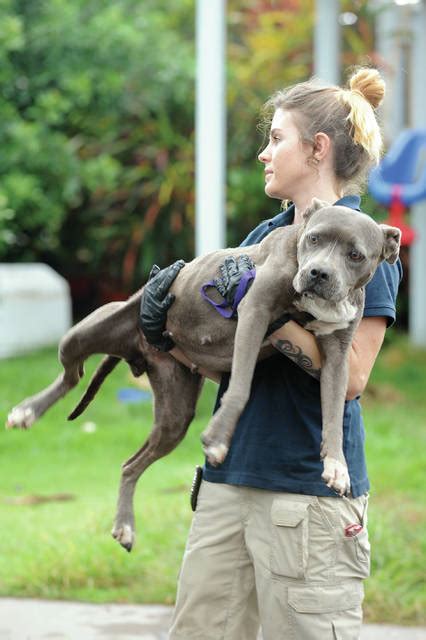 Police Unit Assists In Animal Cruelty Search Warrant Hawaii Tribune