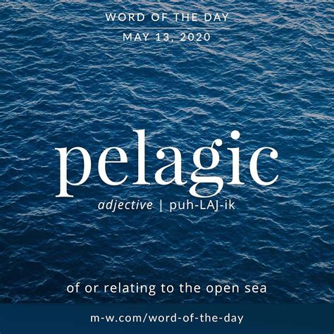 ‘pelagic Is The Wordoftheday Language