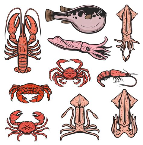 Seafood And Ocean Fishes Fishing And Oceanarium 16539579 Vector Art At