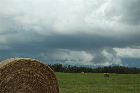 Hay Bale On A Farmers Field Free Stock Photo Public Domain Pictures