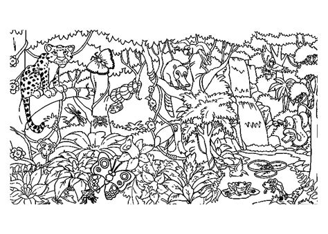 Forest And Animals Jungle And Forest Adult Coloring Pages