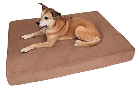 The 7 Best Dog Beds For Large Dogs Barkforce