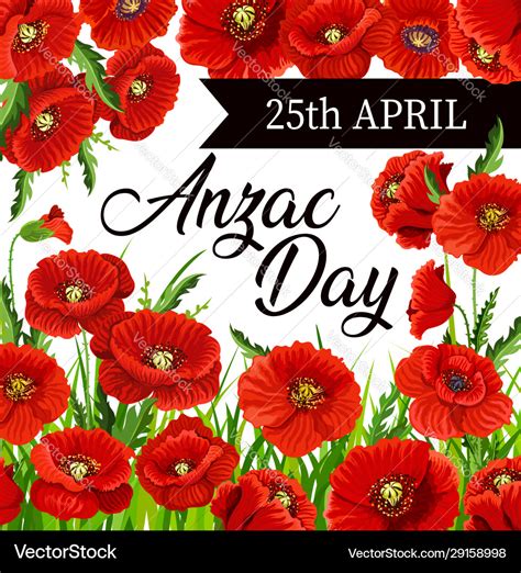 Red Poppy Flowers Anzac Day Royalty Free Vector Image