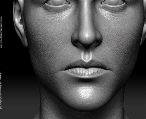 realistic female head 3d model by anshu3dartist