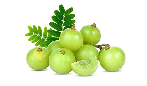 Learn how to make amla hair oil at home, in a traditional ayurveda method. How to use amla for hair