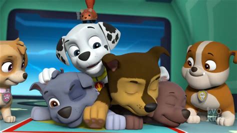 Los Paw Patrol Paw Patrol Pups Boeing Cute Puppies Chase Bowser