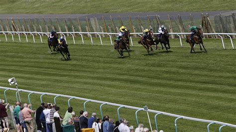 brighton racecard results and tv schedule today s tips runners results and stats for the