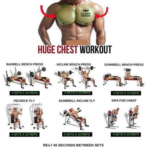 Huge Chest Work Out Step By Step Tutorial Ultimate Chest Workout Chest Workouts Fitness