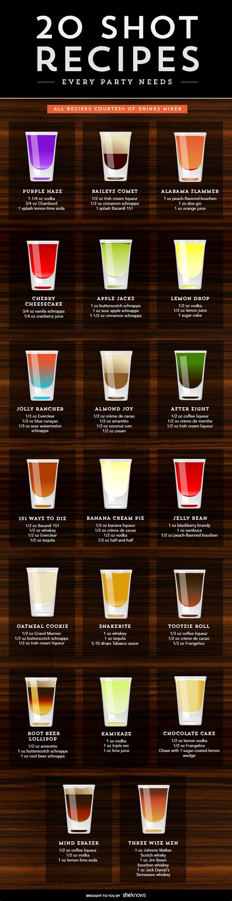 20 Easy Shot Recipes To Take Your Party To The Next Level Infographic