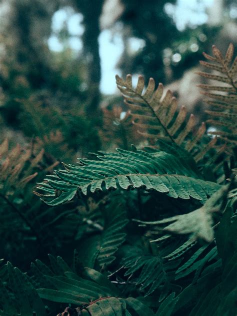 Enjoy and share your favorite beautiful hd wallpapers and background images. Menakjubkan 18+ Gambar Wallpaper Estetik - Rona Wallpaper
