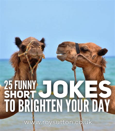 25 Funny Short Jokes To Brighten Your Day Roy Sutton