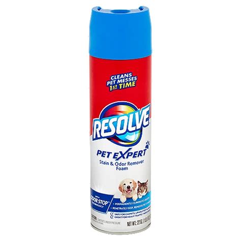 Resolve Pet Expert Stain And Odor Remover Foam 22 Oz