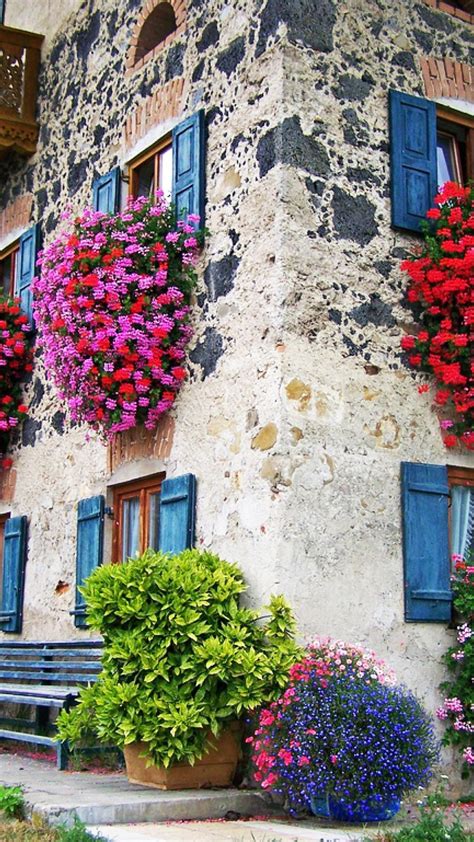 Watch trailers & learn more. House With Colorful Flowers at Windows Smartphone ...